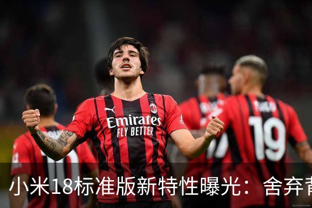 小米18标准版新特性曝光：舍弃背屏迎来7200mAh大电池，雷军的策略究竟如何？